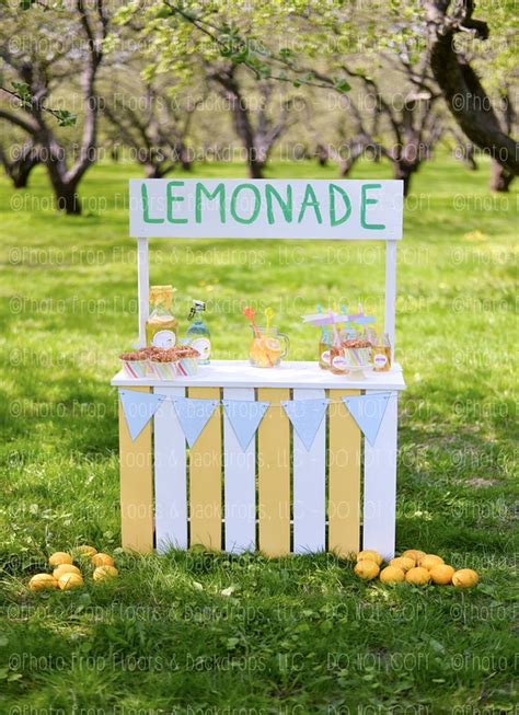 Lemonade Stand Photography Backdrop Summer Time Lemon Sunshine