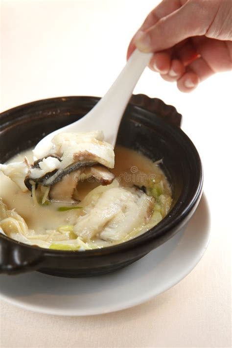 Chinese food, fish soup stock photo. Image of ginger, delicious - 9035662