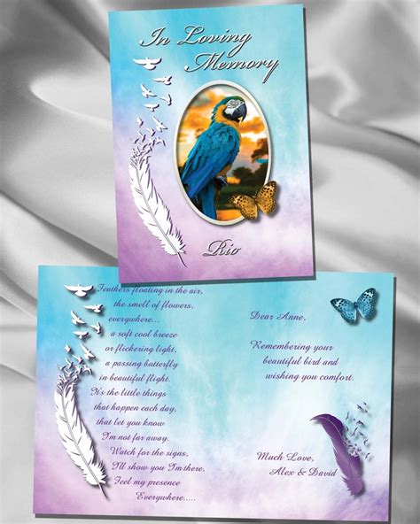 Bird Sympathy Card Bird Sympathy Bird Prints Parakeet Card Etsy