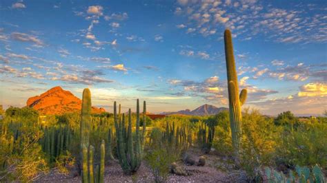 Arizona Planting Zones Map Of Az Growing Zones