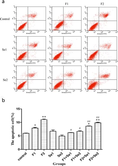 Effect Of Selenium On Apoptosis Of Nrk 52e Cell Exposed To Naf For