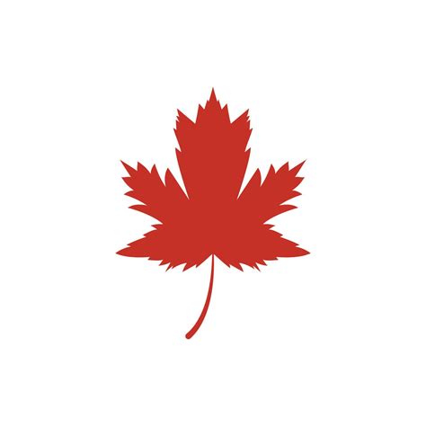 Maple leaf vector illustration 13636510 Vector Art at Vecteezy