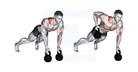 Kettlebell Alternating Renegade Row Guide Benefits And Form