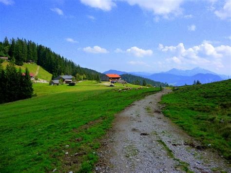 Bavarian Alps Hiking & Lake Tours - The Thirsty Historian