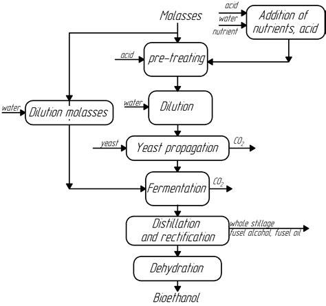 Production Of Bioethanol From Sugar Beet Molasses Ac Group