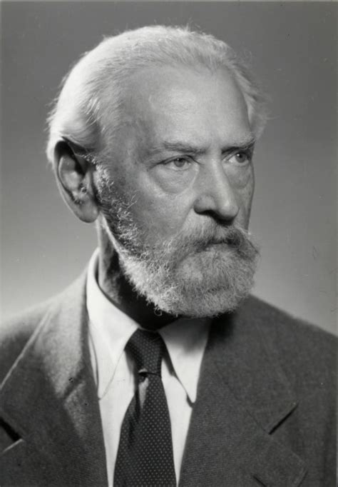 Hans Mayer, Univ.-Prof. Dr. | 650 plus