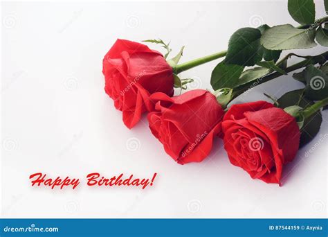 Red Roses Closeup Beautiful Bouquet Happy Birthday Card Stock Image