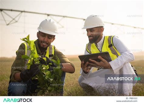 تنميه المزارع والحقول الخضراء صورة مقربة لمهندسان زراعيان عربيان