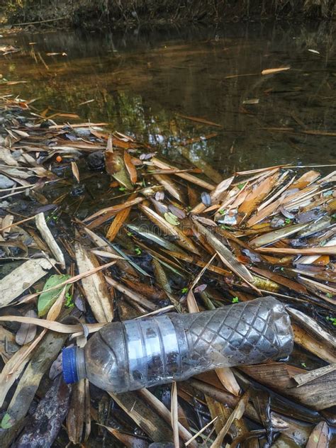 Photo Of Plastic Bottle Waste Polluting The River Stock Photo Image