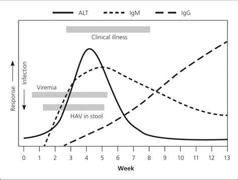 Hepatitis A Aafp