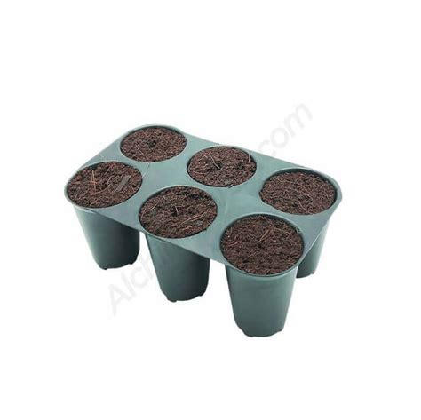 Plateau De Germination Cellules Tourbe De Coco Biod Gradable