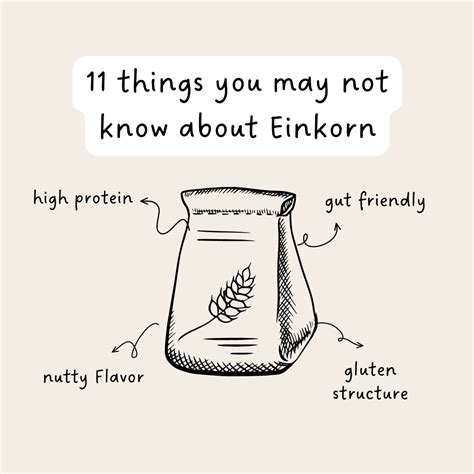 11 Things You May Not Know About Einkorn Hai Path