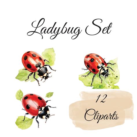 Ladybug Clipart Set 12 High Quality Pngs Watercolor Insect Clip Art