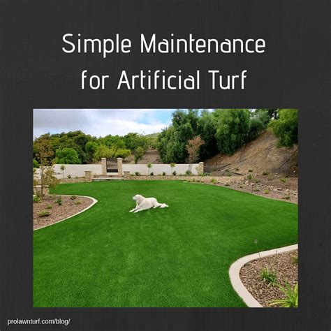 Simple Maintenance for Artificial Turf - ProLawn Turf