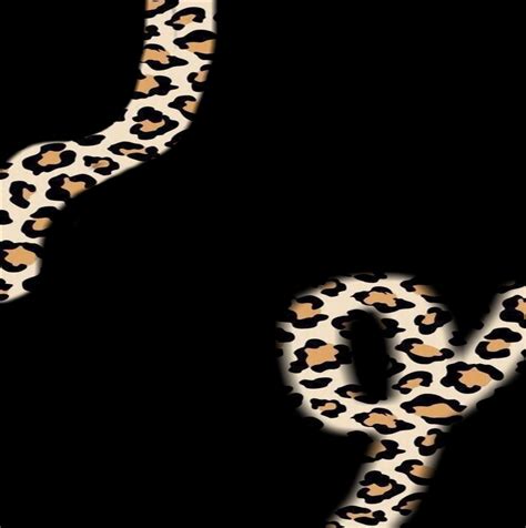 Cheetah Print Wallpapers Wallpapers