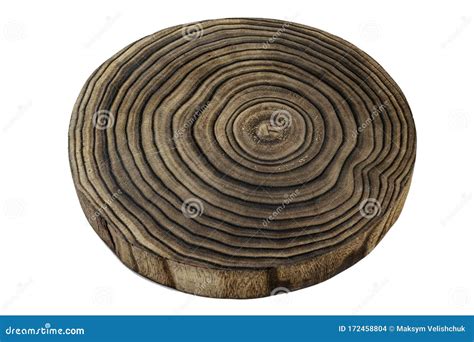 Tree Trunk Isolated On White Wood Log Stump Ring Rough Organic