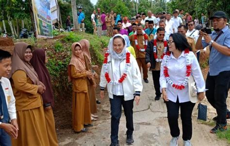 Objek Wisata Mangrove Di Desa Batu Gajah Natuna Makin Cantik Berkat