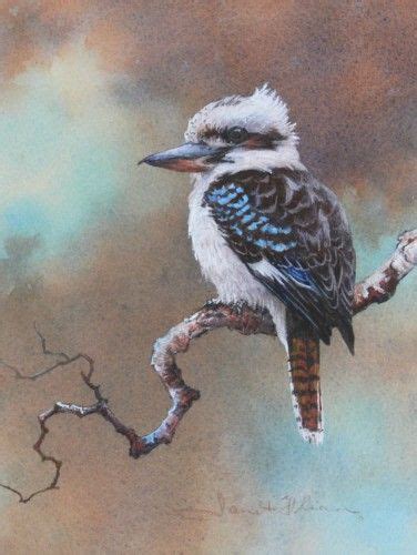 Kookaburra Australian Bird Painting By Janet Flinn Australian Native