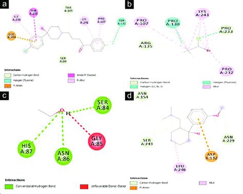 D Visualization Of Molecular Docking Between A Haloperidol And