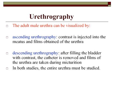 Investigation Of The Urinary System