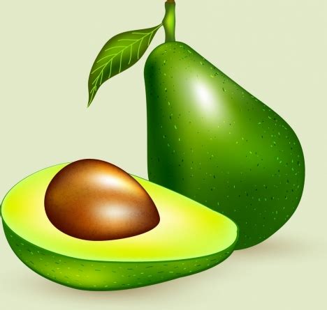 Avocado advertising shiny green icon decoration vectors stock in format ...