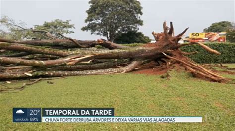 Temporal derruba árvores e deixa várias vias alagadas DF2 G1