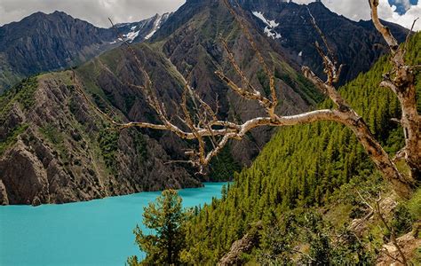 Trekking In Dolpo Upper And Lower Dolpo Treks In Nepal