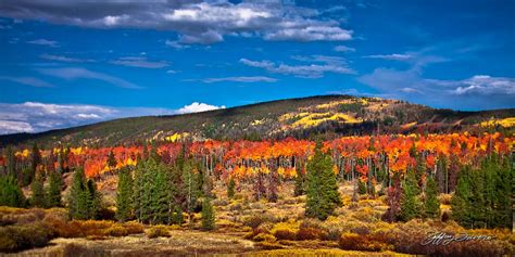 Uinta Mountain Fall Colors - Jeffrey Favero Fine Art Photography