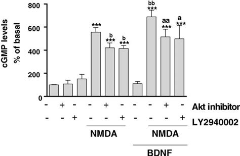 BDNF Potentiates NMDA Induced Increase In CGMP And This Potentiation Is