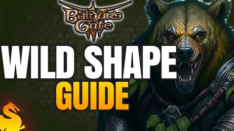 Wild Shape Basic And Advanced Guide Baldurs Gate 3 Youtube