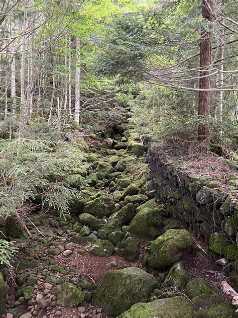 白駒池・中山・ニュウ 八ヶ岳（赤岳・硫黄岳・天狗岳）の写真18枚目 Yamap ヤマップ