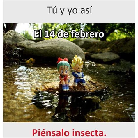 T Y Yo As El De Febrero Pi Nsalo Insecta Memes