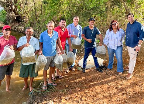 Peixamentos Dnocs Distribui Mais De Mil Alevinos Na Bahia