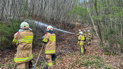 Flächenbrand im Gemeindegebiet Hallwang ÖA Feuerwehren Bezirk