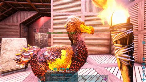 Ark Eternal Dodo Evolution Youtube