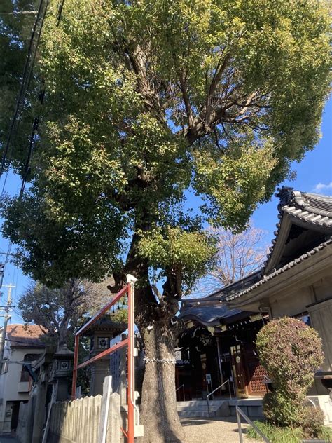 鶴見神社の御朱印・アクセス情報（大阪府今福鶴見駅）ホトカミ