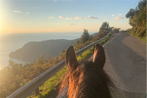 Horse ride on the coast of Monterosso al Mare Cinque Terre 2023 - Viator