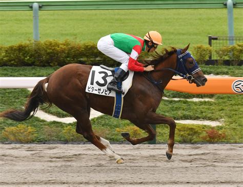 ビターゼノビア初陣勝利 直線一気に抜け出し5馬身差つける／新馬戦 2歳馬特集 競馬写真ニュース 日刊スポーツ