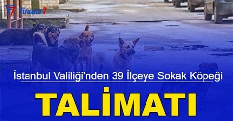 İstanbul Valiliği nden sokak köpekleri ile ilgili karar