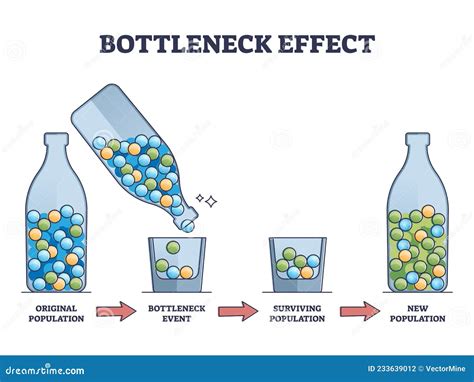 Bottleneck Effect on Genetic Drift and Population Impact Outline Diagram Stock Vector ...