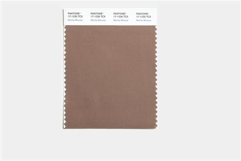 What Is Mocha Mousse The First Ever Shade Of Brown Chosen As Pantone S