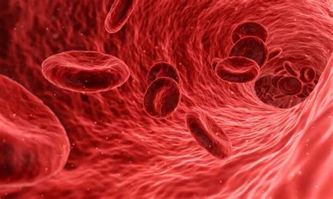 Tendência à trombose saiba o que é Trombofilia Uai Saúde