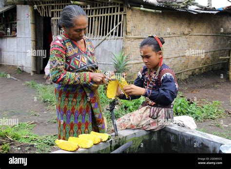 Grandmother and granddaughter of the Blaan tribe in their traditional robes cut up pineapples ...