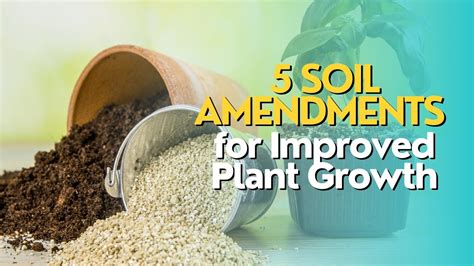 Top Soil Amendments For Improved Plant Growth Youtube