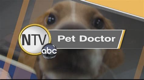 Pet Doc House Training