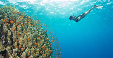 The Best Beaches To Snorkel In Kauai – Kiahuna Beachside