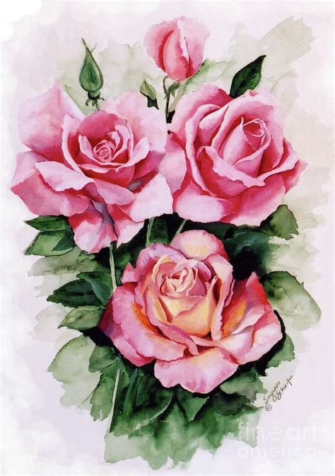 Pink Rose Watercolor Paintings For Sale Watercolor Rose Rose