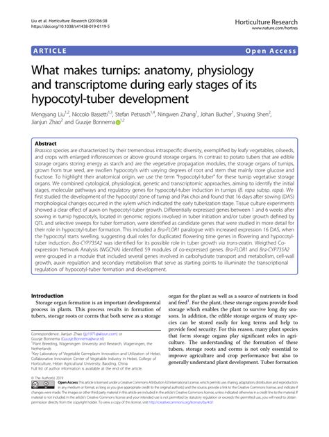 (PDF) What makes turnips: anatomy, physiology and transcriptome during early stages of its ...