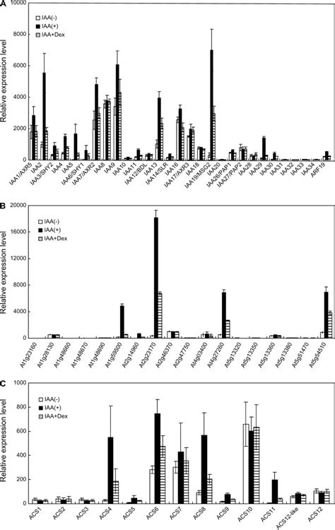 The Expression Profiles Of Representative Auxin Up Regulated Gene