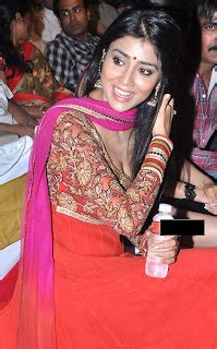 Bollytter Shriya Saran Hot Photos In Deep Cleavage